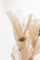 Quadro Decorativo Pétalas de Algodão Toque Elegante e Natural para sua Decoração