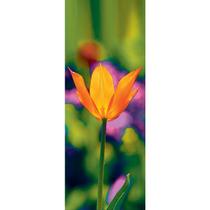 Quadro Decorativo Photoglass De Vidro 30 X 80 Cm Flo38002 Quadro Decorativo Photoglass De Vidro 30 X 80 Cm Flo38002