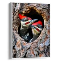 Quadro decorativo Pica Pau na Toca - Art Canvas
