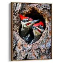 Quadro decorativo Pica Pau na Toca - Art Canvas
