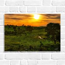 Quadro Decorativo Por do Sol na Fazenda em Goiás 02 (Coleção Originais do Brasil)