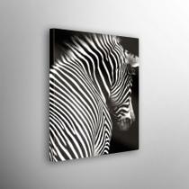 Quadro Decorativo Preto E Branco Zebra Quadro Decorativo Preto E Branco Zebra