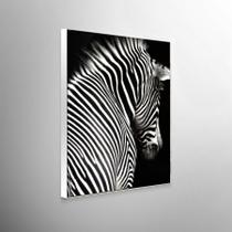 Quadro Decorativo Preto E Branco Zebra Quadro Decorativo Preto E Branco Zebra