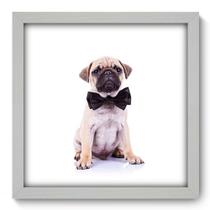 Quadro Decorativo - Pug - 33cm x 33cm - 007qnsbb