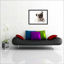 Quadro Decorativo Pug Cão Animais Petshop Animais Salas Decorações Com Moldura