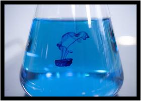 Quadro Decorativo Química Laboratórios Vidraria Erlenmeyer Com Moldura RC025