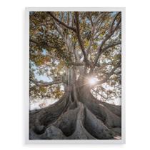 Quadro Decorativo Raízes - Árvore 24x18cm