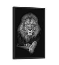 Quadro Decorativo Rei Leão da Tribo de Judá Animal Selvagem Preto e Branco Quarto Sala 30x40cm - Clic Store