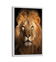Quadro Decorativo Rei Leão da Tribo de Judá Animal Selvagem Quarto Sala 60x90cm - CLICSTORE