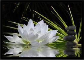 Quadro Decorativo Religioso Budismo Espiritualismo Flores Com Moldura RC042