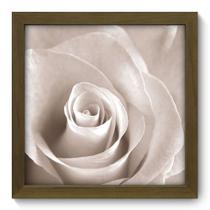 Quadro Decorativo - Rosa - 22cm x 22cm - 049qdfm