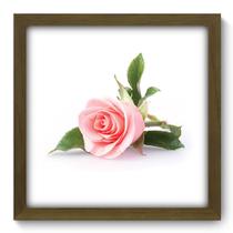 Quadro Decorativo - Rosa - 33cm x 33cm - 071qdfm