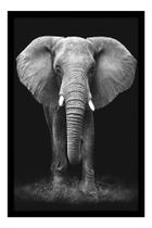 Quadro Decorativo - Safari - Elefante - 60x90cm