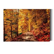 Quadro Decorativo sala Bosque em Outono 60x40 Quadro Quarto Hall Cozinha