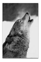 Quadro Decorativo Sala Luxo Lobo Selvagem Tecido Canvas Quadro Decorativo Sala Luxo Lobo Selvagem Tecido Canvas