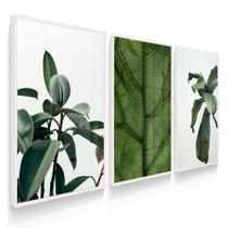 Quadro Decorativo Sala Quarto Trio Plantas Quadro Decorativo Sala Quarto Trio Plantas