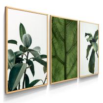 Quadro Decorativo Sala Quarto Trio Plantas