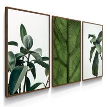 Quadro Decorativo Sala Quarto Trio Plantas