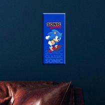 Quadro Decorativo Sonic Metal 10X26