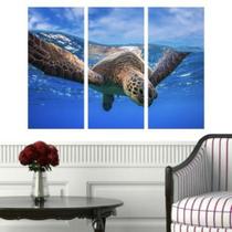 Quadro Decorativo Tartaruga no Mar - Quadros Mais