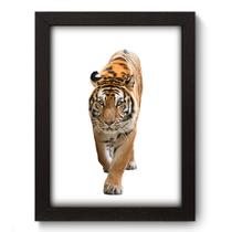 Quadro Decorativo - Tigre - 19cm x 25cm - 081qdsp