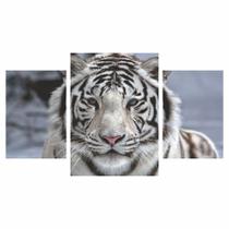 Quadro Decorativo Tigre Branco - Estilo e Impacto para Sua Decoração