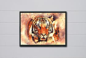 Quadro Decorativo Tigre Ilustrado Vislumbrante com Moldura E Acetato Tamanho A3 Quadro Decorativo Tigre Ilustrado Vislumbrante com Moldura E Acetato Tamanho A3