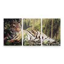 Quadro Decorativo Tigre Imponente Para Sala Quarto