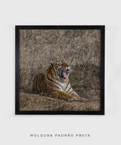 Quadro Decorativo Tigre - Poster