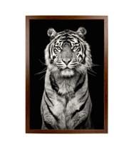 Quadro Decorativo Tigre Preto e Branco Animal Selvagem Fundo Preto Quarto Sala 60x90cm Com Vidro