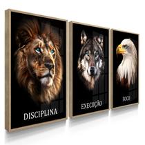 Quadro Decorativo Trio Disciplina Arte Para Escritório Sala 70x50 com Moldura Quadro Decorativo Trio Disciplina Arte Para Escritório Sala 70x50 com Moldura