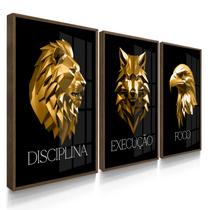 Quadro Decorativo Trio Disciplina Dourado Leão Lobo Foco Decoração Escritório 70x50 com Vidro