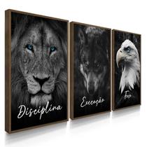 Quadro Decorativo Trio Disciplina Escritório Sala Letras Cursivo Kit 70x50 com Moldura