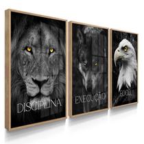 Quadro Decorativo Trio Disciplina Execução Leão Sala escritório 70x50 com Moldura