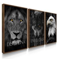 Quadro Decorativo Trio Disciplina Execução Leão Sala escritório 70x50 com Moldura Quadro Decorativo Trio Disciplina Execução Leão Sala escritório 70x50 com Moldura