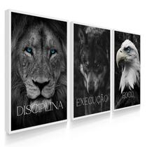 Quadro Decorativo Trio Disciplina Foco Execução Leão Kit 70x50 com Moldura