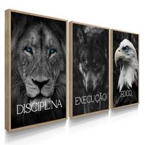 Quadro Decorativo Trio Disciplina Foco Execução Leão Kit 70x50 com Moldura