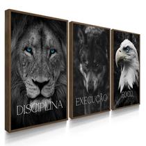 Quadro Decorativo Trio Disciplina Foco Execução Leão Kit 70x50 com Moldura
