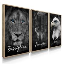 Quadro Decorativo Trio Disciplina Leão Empresa Letra Cursivo 70x50 com Vidro