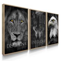 Quadro Decorativo Trio Disciplina Olhos Brilhosos Sala 70x50 com Vidro
