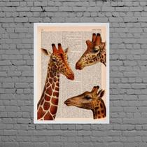 Quadro Decorativo Trio Girafas 24x18cm - com vidro