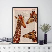 Quadro Decorativo Trio Girafas 45x34cm Moldura Madeira Preta