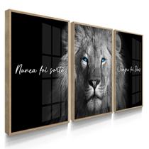 Quadro Decorativo Trio Nunca foi Sorte Motivação Sala Escritório 70x50 com Vidro Quadro Decorativo Trio Nunca foi Sorte Motivação Sala Escritório 70x50 com Vidro