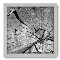 Quadro Decorativo - Tronco - 33cm x 33cm - 037qndbb