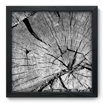 Quadro Decorativo - Tronco - 33cm x 33cm - 037qndbp