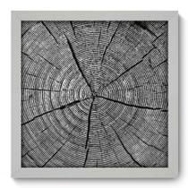 Quadro Decorativo - Tronco - 33cm x 33cm - 091qddb