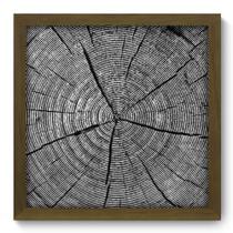 Quadro Decorativo - Tronco - 33cm x 33cm - 091qddm