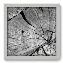 Quadro Decorativo - Tronco - 33cm x 33cm - 275qddb