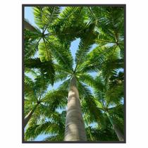 Quadro Decorativo Tropical Palmeiras para Sala Quarto Hall Quadro Decorativo Tropical Palmeiras para Sala Quarto Hall