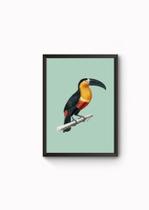 Quadro Decorativo Tucano Ilustrado Por Charles Dessalines Quadro Decorativo Tucano Ilustrado Por Charles Dessalines